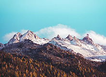 bob半岛体育-被塔图姆颜射+2罚1中！揭幕战字母哥又成背景板...